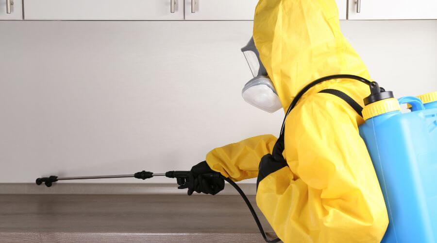 Professional Pest Control services in South Perth